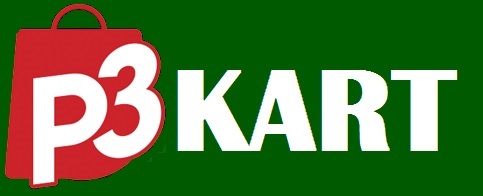 P3 Kart