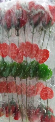 Rose plastic