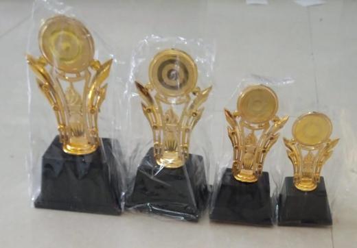 Trophy thumbnail 1